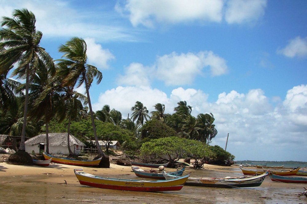 Passeio à Praia de Mangue Seco