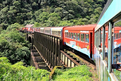 Passeio de Trem: Morretes a Curitiba 