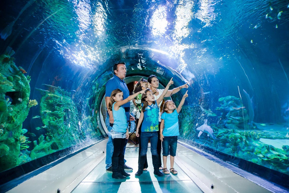 Sea Life London Aquarium Ingresso de 01 dia Sea Life London Aquarium Ingresso de 01 dia