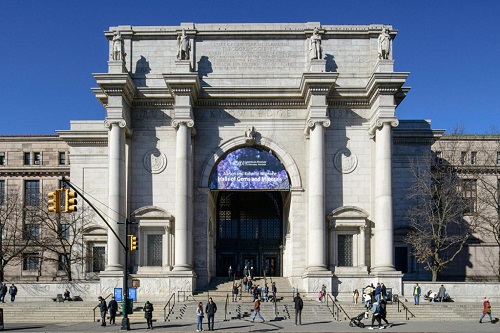 Museu Americano de História Natural - 1 dia