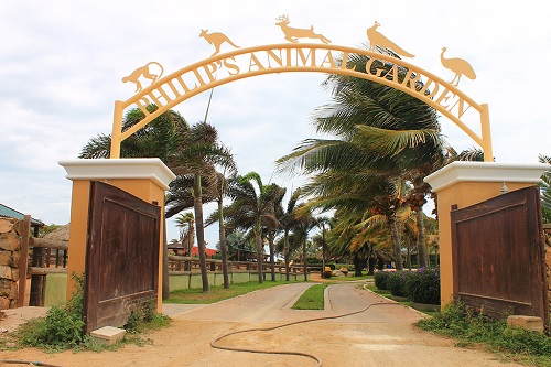 Philips Animal Garden - Descobrindo a Fauna de Aruba