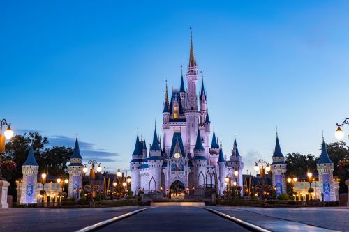 Walt Disney World Magic Kingdom® Theme Park 1 dia
