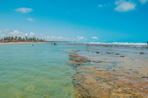 Tour de dia inteiro a praia Cabo de Santo Agostinho com passeio de Buggy 