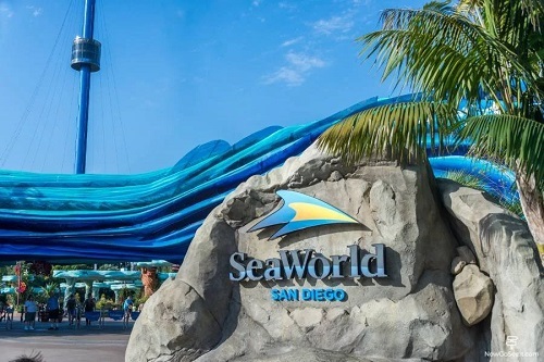 Black Friday SeaWorld San Diego Ingresso de 1 dia com Plano de Refeição Ilimitada